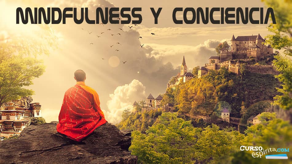 Mindfulness y Conciencia